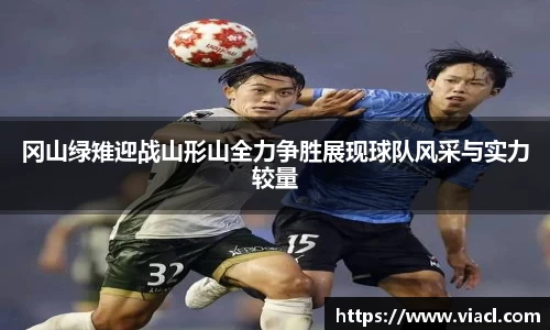 冈山绿雉迎战山形山全力争胜展现球队风采与实力较量